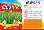 小麦单页