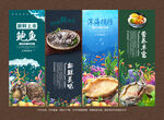 鲍鱼挂画