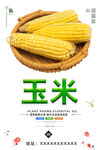 玉米