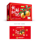 枇杷设计