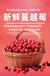 蔓越莓