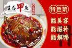 特色菜 海报 甲鱼 高清