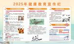 2025年健康教育宣传栏 
