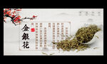 金银花