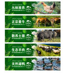 鲜肉