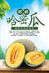 哈密瓜