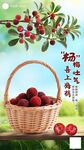 杨梅海报