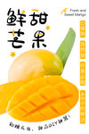 芒果