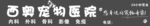 宠物
