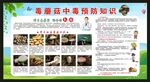 预防毒蘑菇中毒知识宣传栏