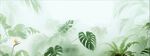 热带雨林绿植磨砂模糊雾气贴图