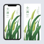 小满节气手机海报设计