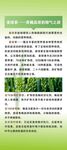 绿色植物营养与生长知识