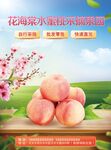 水蜜桃海报