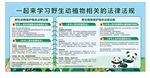 动物知识科普宣传页