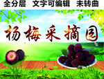 杨梅种植采摘园招牌