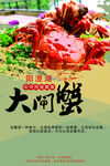 大闸蟹