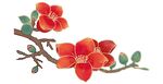 手绘木棉花造型