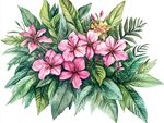 水彩绘粉色花卉绿植组合