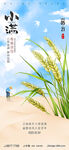 小满