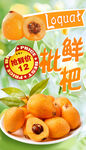 枇杷