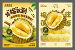 榴莲水果海报
