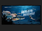 海底世界