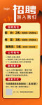 招聘岗位信息展示