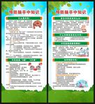 世界预防中风日展架