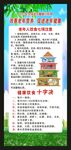 老年健康宣传周展架