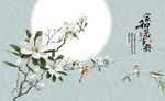 玉兰花