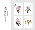 如期花约