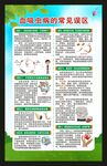血吸虫病防治宣传周海报