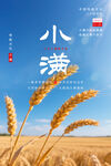 二十四节气小满金黄小麦海报