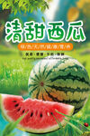西瓜