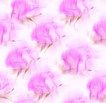 扎染花
