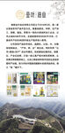 金叶油业广告海报