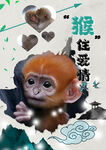 12生肖之猴海报