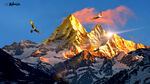 金山
