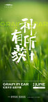 芒种