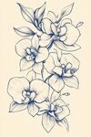 手绘兰花花卉图案插画
