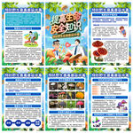 预防野生菌毒蘑菇中毒