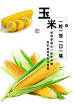 玉米