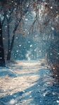 雪覆林间路 静谧冬日景