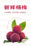 杨梅海报