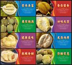 榴莲