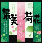 荷花节