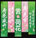 荷花节