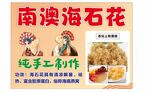 南澳海石花
