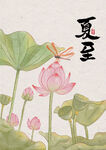夏至荷花蜻蜓图